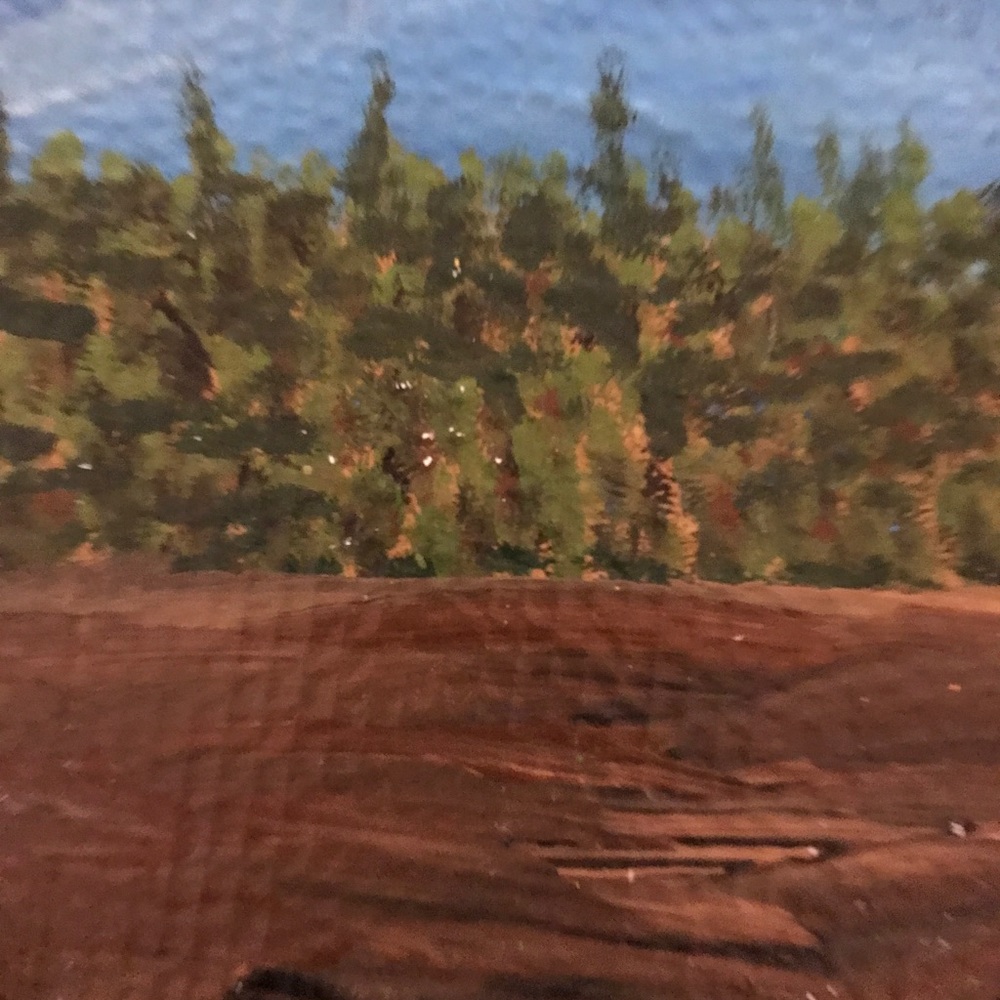 Colorful Hand Design Plate - Picture 2 of 16